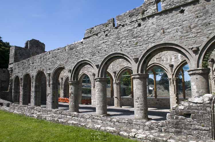 Boyle_Abbey_078_2013