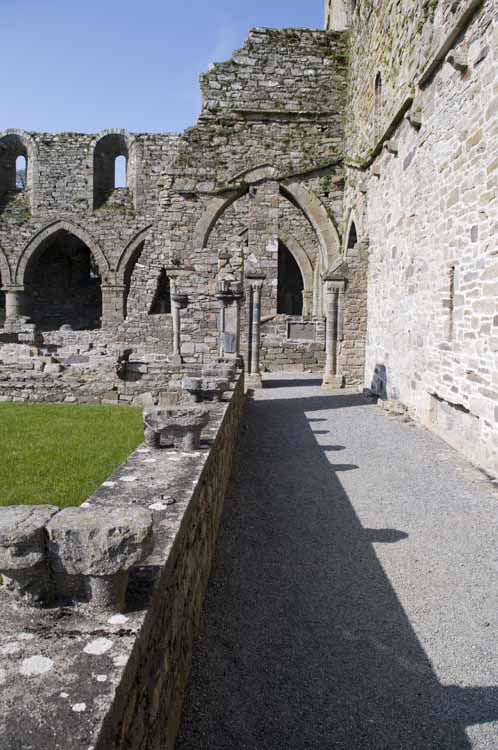 Jerpoint Abbey Cistercian Ireland 271