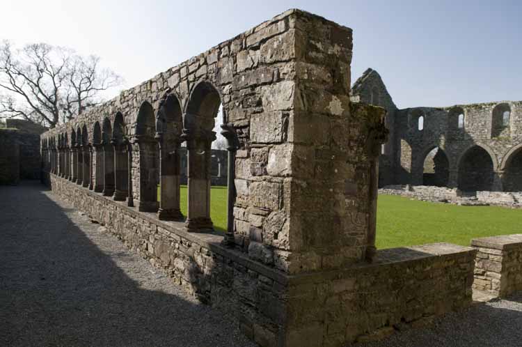 Jerpoint Abbey Cistercian Ireland 277
