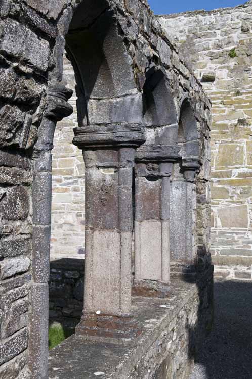 Jerpoint Abbey Cistercian Ireland 288