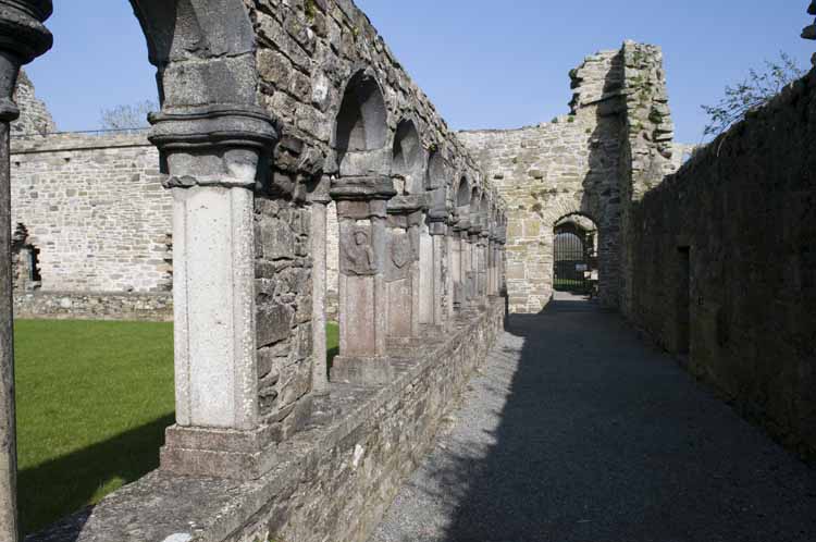 Jerpoint Abbey Cistercian Ireland 299