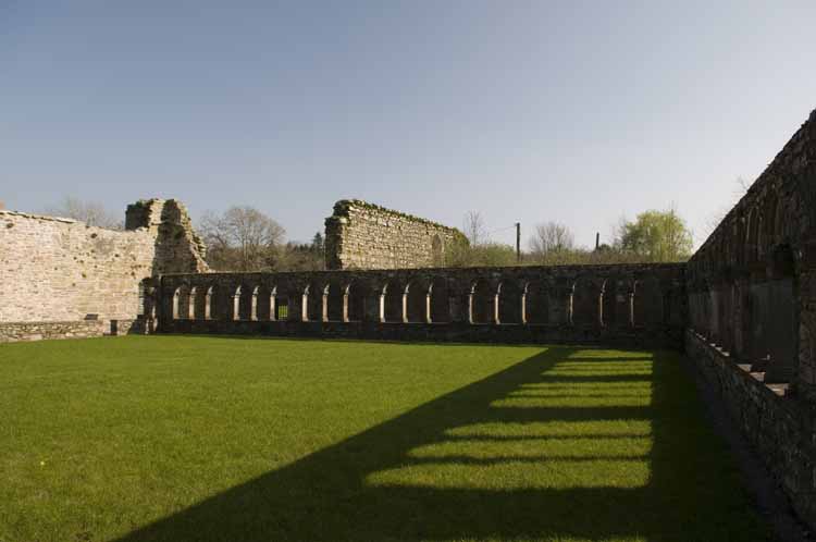 Jerpoint Abbey Cistercian Ireland 339