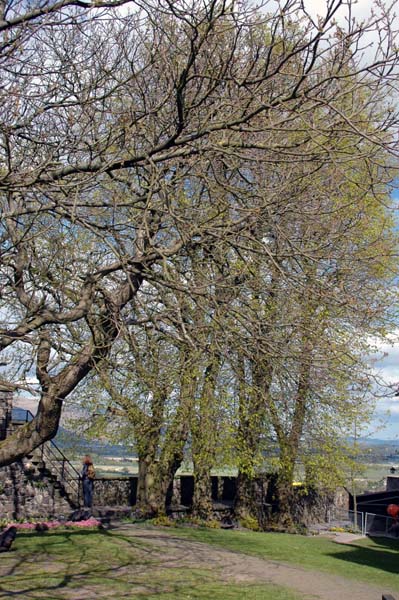 2005-May Scotland 147