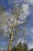 Altamont_April-2008, 0072