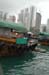 hong kong 307