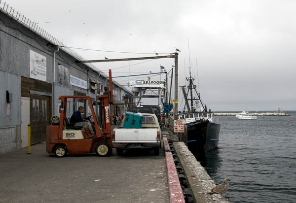 2008_March_0352