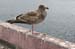 2008_March_0358