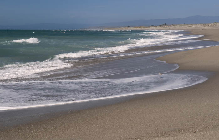 2008_March_0311