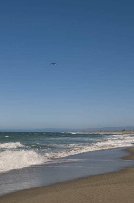 2008_March_0322