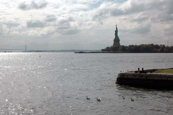 New York 054