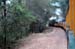 roaring_camp 051