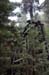 roaring_camp 069