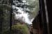 roaring_camp 120