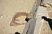 abusir_jul_2006_0130