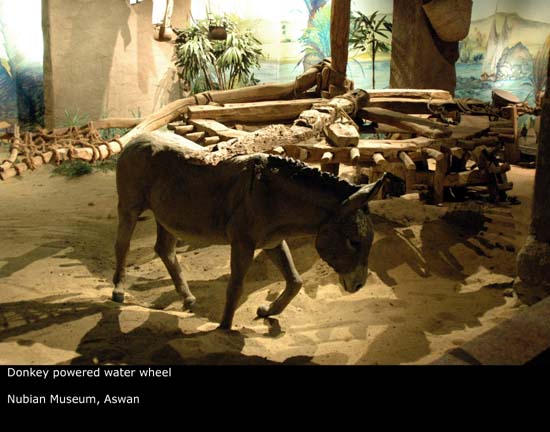 Nubian Museum, Aswan...المتحف النوبى بأسوان,,,بالصور Donkey001