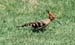 general_aug_2006_0038