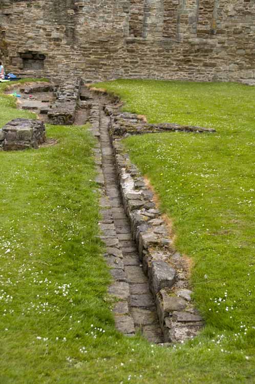 Basingwerk_Abbey_02_2013