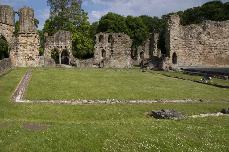 Basingwerk_Abbey_38_2013