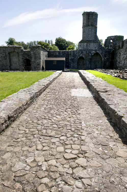 Boyle_Abbey_044_2013