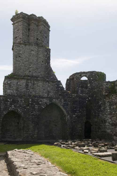 Boyle_Abbey_046_2013