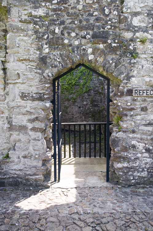 Boyle_Abbey_059_2013