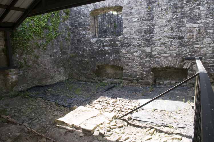 Boyle_Abbey_064_2013