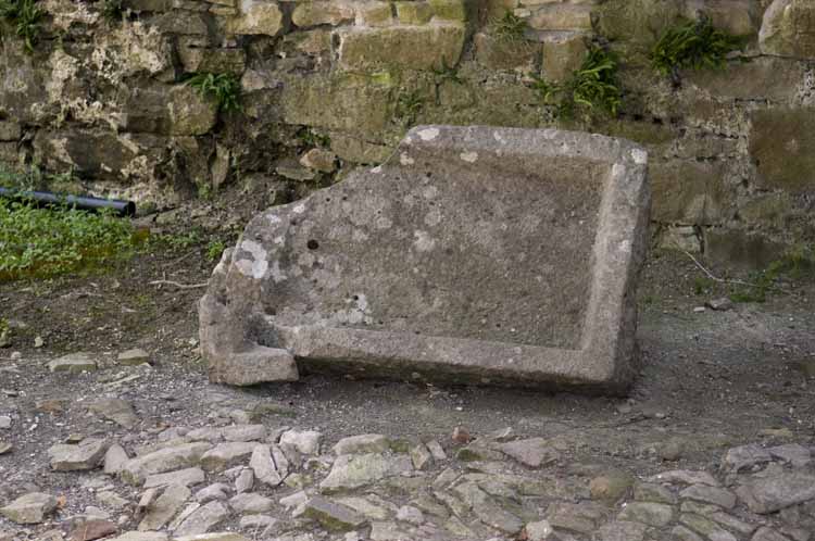 Boyle_Abbey_066_2013