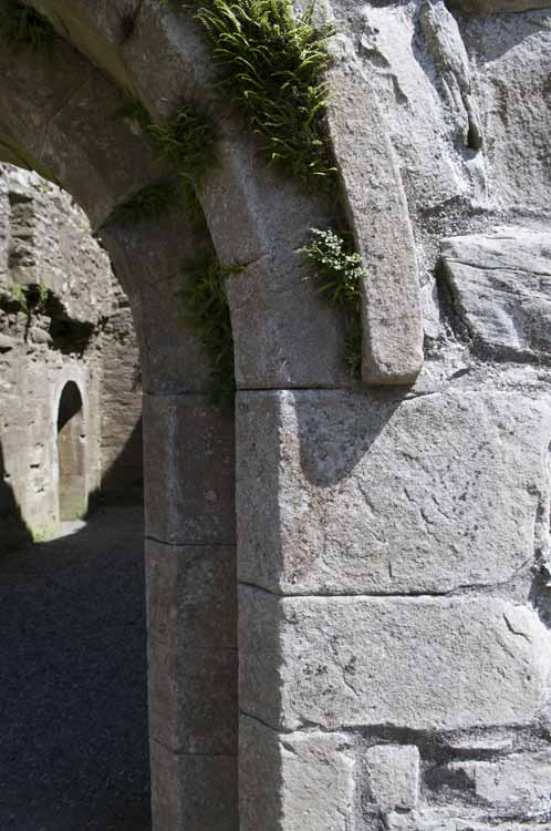 Boyle_Abbey_094_2013