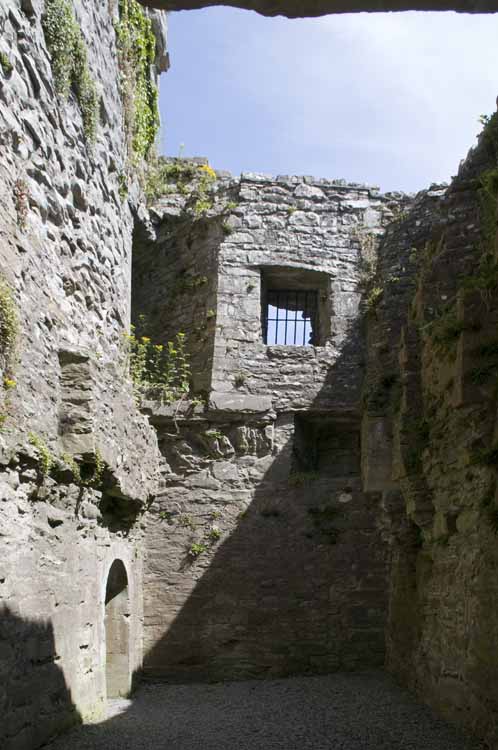 Boyle_Abbey_095_2013