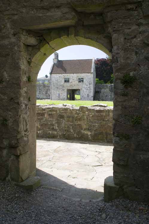 Boyle_Abbey_096_2013