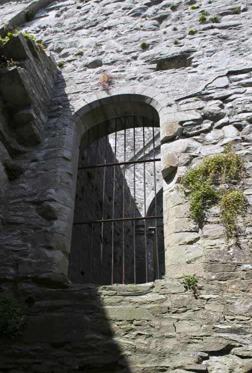 Boyle_Abbey_099_2013