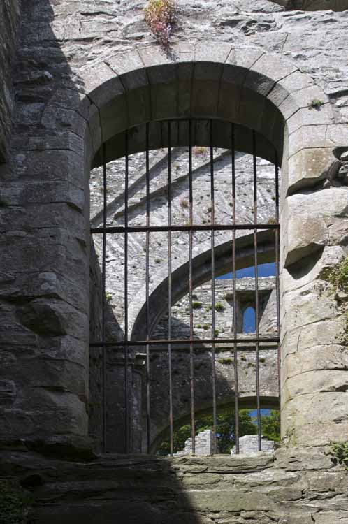 Boyle_Abbey_100_2013