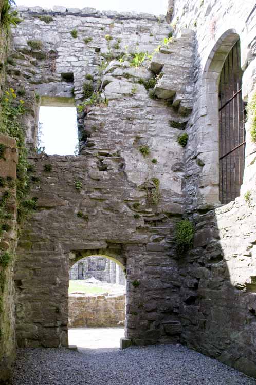 Boyle_Abbey_107_2013