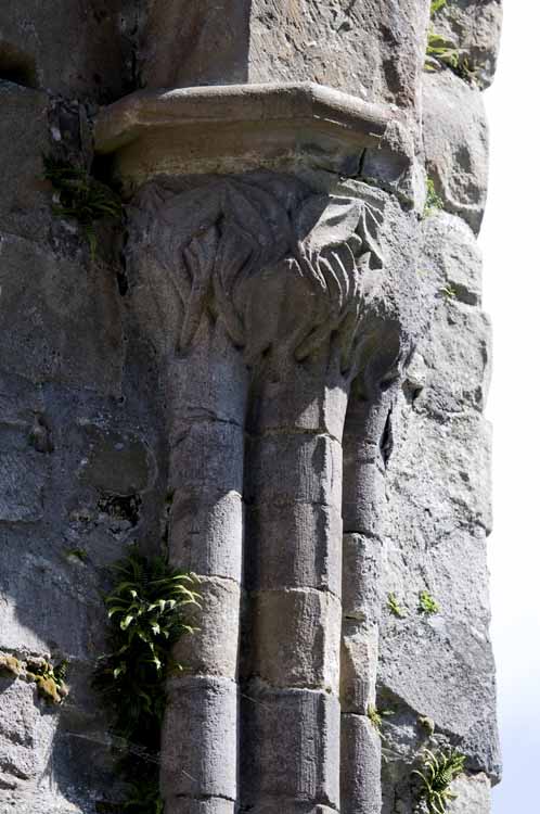 Boyle_Abbey_170_2013