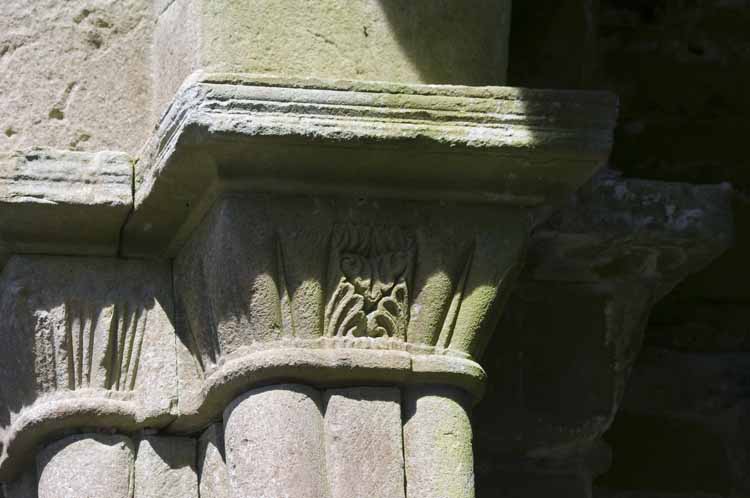 Boyle_Abbey_214_2013