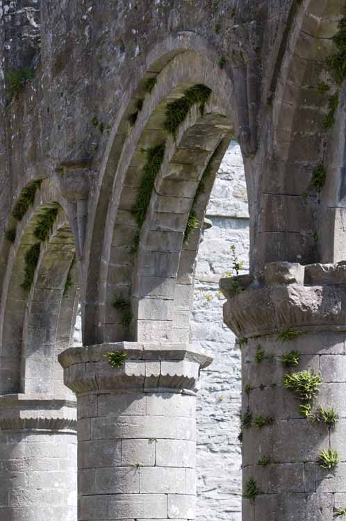 Boyle_Abbey_235_2013