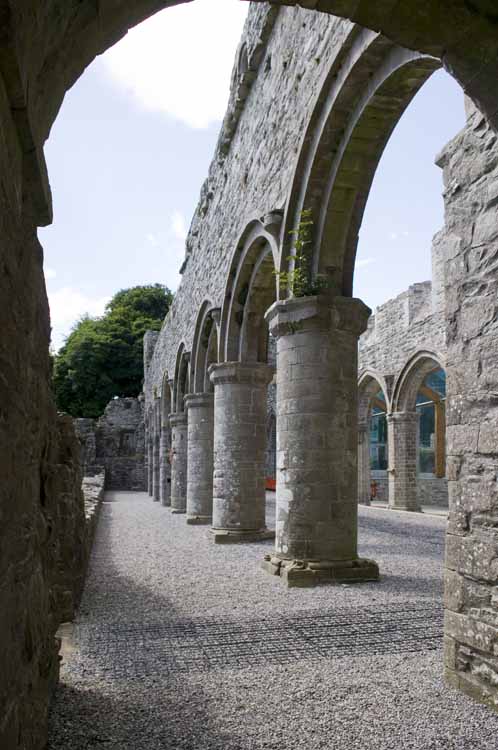 Boyle_Abbey_314_2013