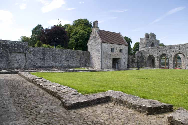 Boyle_Abbey_319_2013