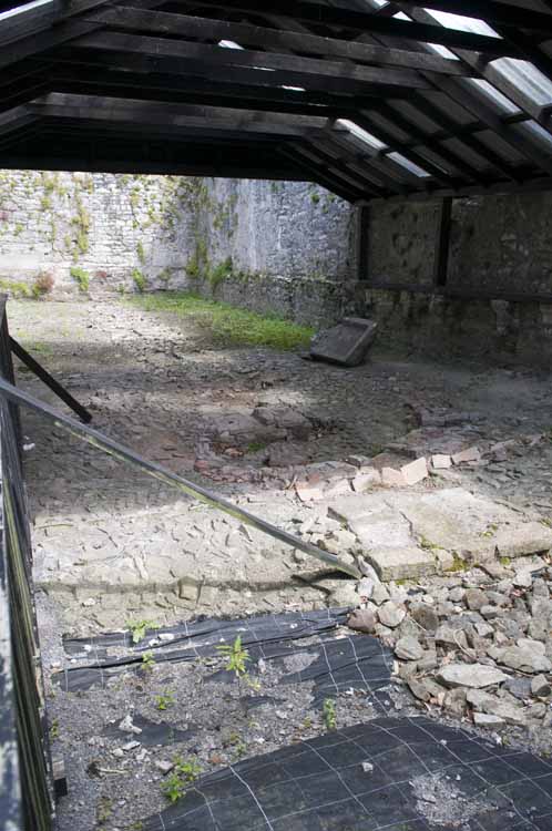 Boyle_Abbey_321_2013