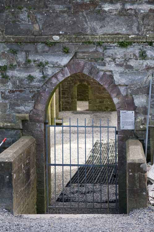 Boyle_Abbey_339_2013