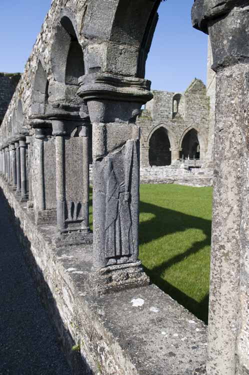 Jerpoint Abbey Cistercian Ireland 309