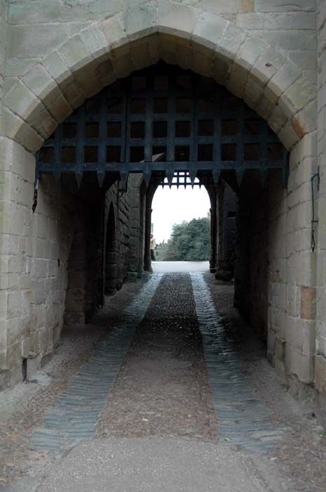 2005-03-11_006
