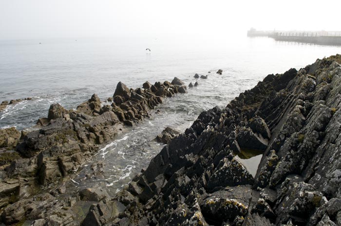 Ballycotton_April-2008, 0003