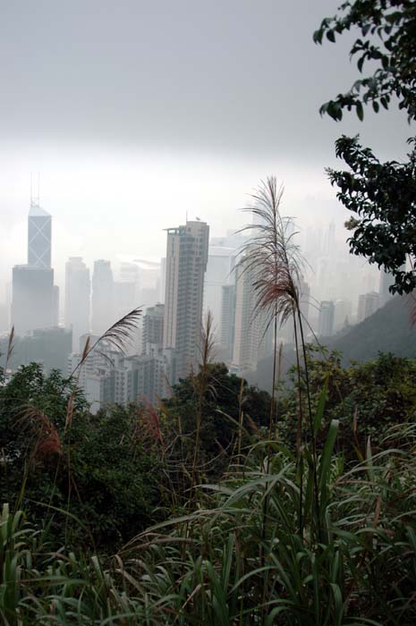 hong kong 168