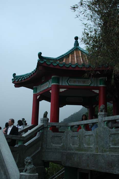 hong kong 204