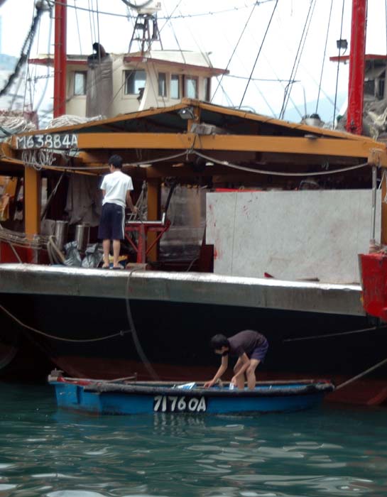 hong kong 322