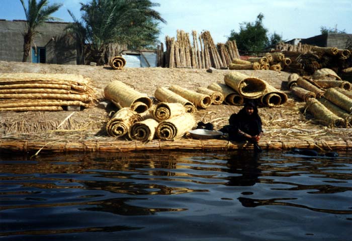 Marshes, Chibaish, Nov 1987