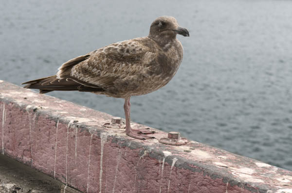 2008_March_0358