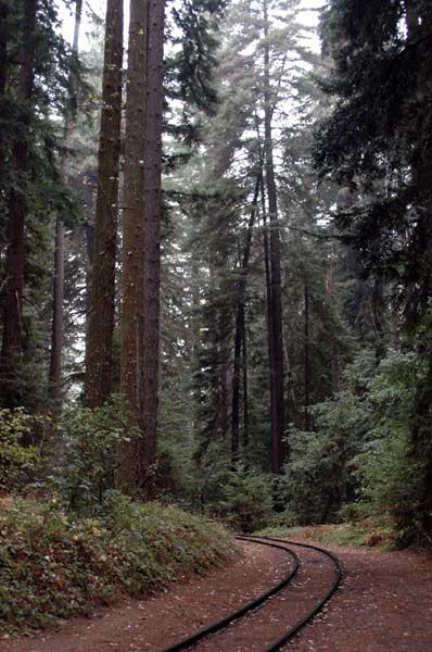 roaring_camp 103