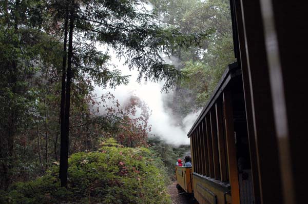 roaring_camp 120